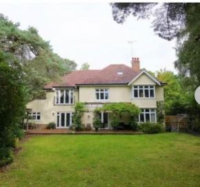 Beautiful Dorset Holiday Home in private grounds
